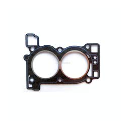 Guarnizione Testata Evinrude Johnson BRP