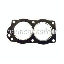 Guarnizione Testata Evinrude Johnson BRP