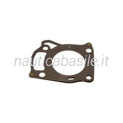 Guarnizione Testata Evinrude Johnson BRP
