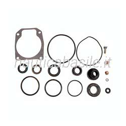 Kit O-Ring e Guarnizioni Evinrude Johnson BRP