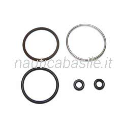 Kit O-Ring, anelli e filtro per iniettore Evinrude E-TEC G2 BRP