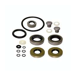 Kit Paraoli e O-Ring Evinrude Johnson BRP