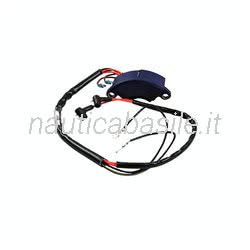 Centralina elettrica Evinrude Johnson BRP