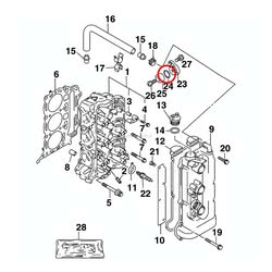 O-Ring Evinrude Johnson BRP