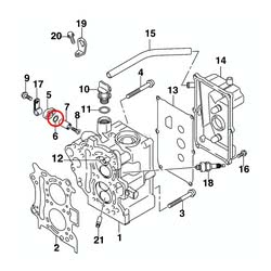 O-Ring Anodo Evinrude Johnson BRP
