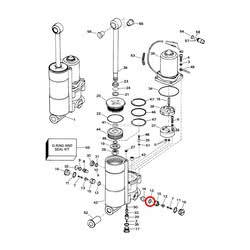 O-Ring Evinrude Johnson BRP