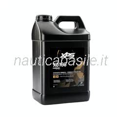 Olio Evinrude XD100 10LT per motori fuoribordo ETEC