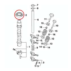 Paraolio Evinrude Johnson BRP