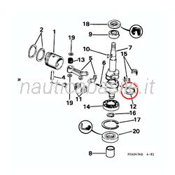 Paraolio Albero Motore Evinrude Johnson BRP