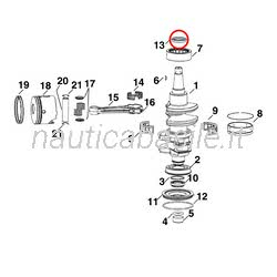 Paraolio Albero Motore Evinrude Johnson BRP