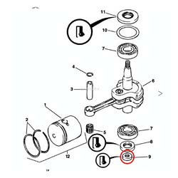 Paraolio Evinrude Johnson BRP