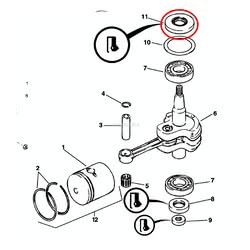 Paraolio Evinrude Johnson BRP