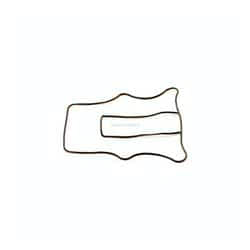 Guarnizione ring Asta Cambio Evinrude Johnson BRP