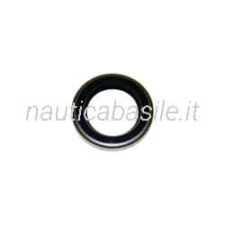 Paraolio Motore Evinrude Johnson BRP