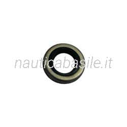 Paraolio Motore Evinrude Johnson BRP