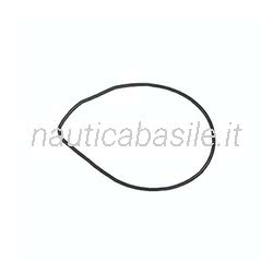 O-Ring pompa acqua Evinrude Johnson BRP