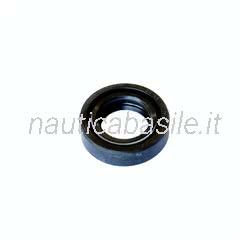 Paraolio Motore Evinrude Johnson BRP