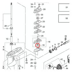 Paraolio Pompa Acqua Evinrude Johnson BRP