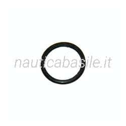 Guarnizione Termostato Evinrude Johnson BRP