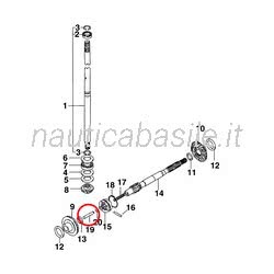 Perno Asta Ingranaggi Evinrude Johnson BRP