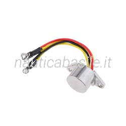 Raddrizzatore Evinrude Johnson BRP