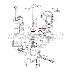 Anello Trim / Tilt Evinrude Johnson BRP
