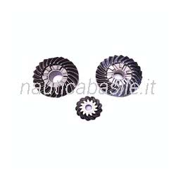 Set Ingranaggi Piede Evinrude Johnson BRP