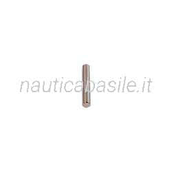 Coppiglia Elica Evinrude Johnson BRP