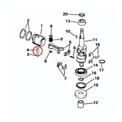 Spinotto Evinrude Johnson BRP