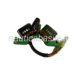 Statore Evinrude Johnson BRP