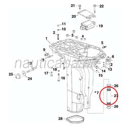 Tubo Acqua 30" Evinrude Johnson BRP