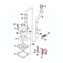 Vite Evinrude Johnson BRP passo americano (USA)