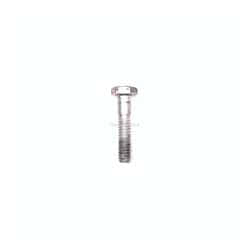 Vite Evinrude Johnson BRP passo americano (USA)