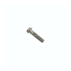 Vite Evinrude Johnson BRP passo americano (USA)