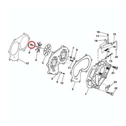 Vite Evinrude Johnson BRP passo americano (USA)