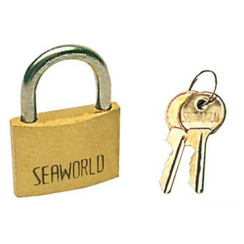 Padlock bronze/SS 30 mm