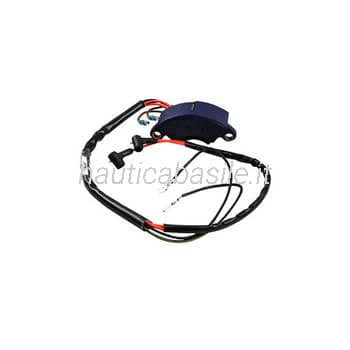 Centralina elettrica Evinrude Johnson BRP