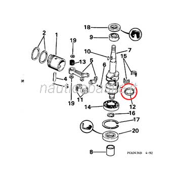Paraolio Albero Motore Evinrude Johnson BRP