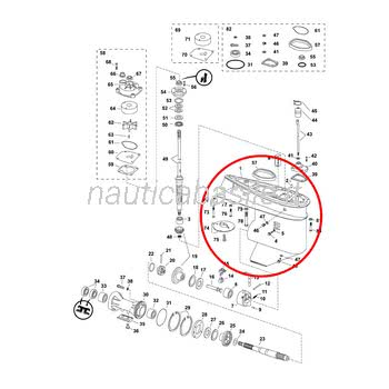 Carcassa Piede Motore 40-60 Evinrude E-TEC BRP