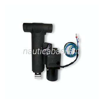 Trim & Tilt completo Evinrude BRP