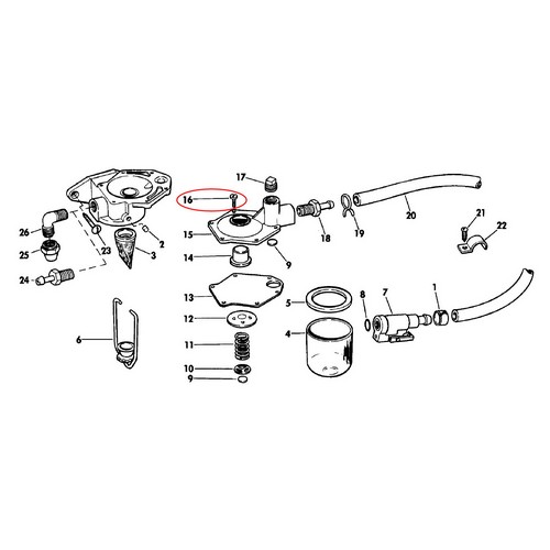 Screw Evinrude Johnson BRP