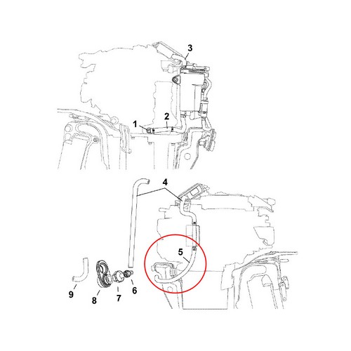 Tubo dritto benzina regolatore 25-30 Evinrude E-TEC