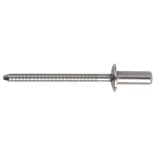 Stainless steel stud with standard head