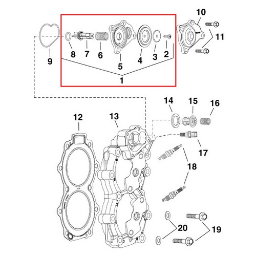 Kit Valvola Scarico Evinrude Johnson BRP