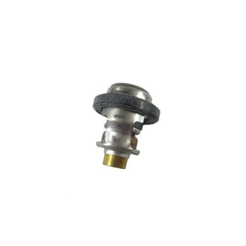 Thermostat Johnson BRP