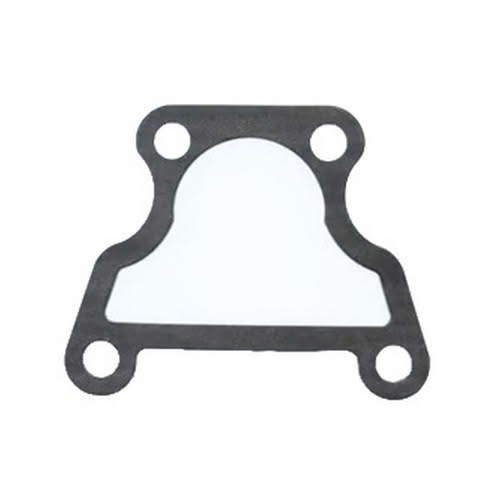 Guarnizione Termostato Evinrude Johnson BRP