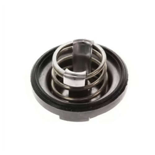 Temp Valve Johnson BRP