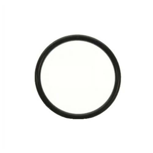 O-Ring Evinrude Johnson BRP