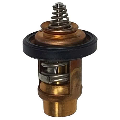 Termostato Evinrude Johnson BRP