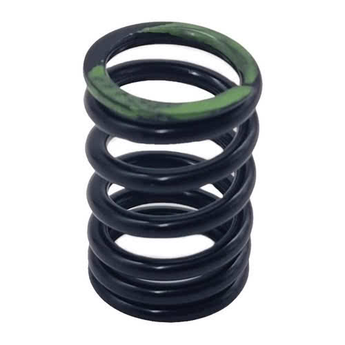 Valve Spring Johnson BRP